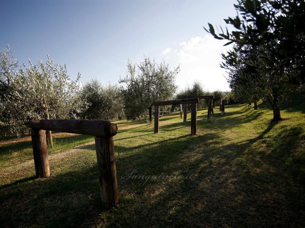 Agriturismo Sanguineto Acquaviva  Εξωτερικό φωτογραφία