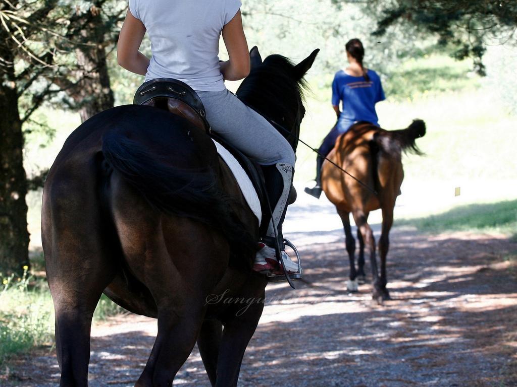 Agriturismo Sanguineto Acquaviva  Εξωτερικό φωτογραφία