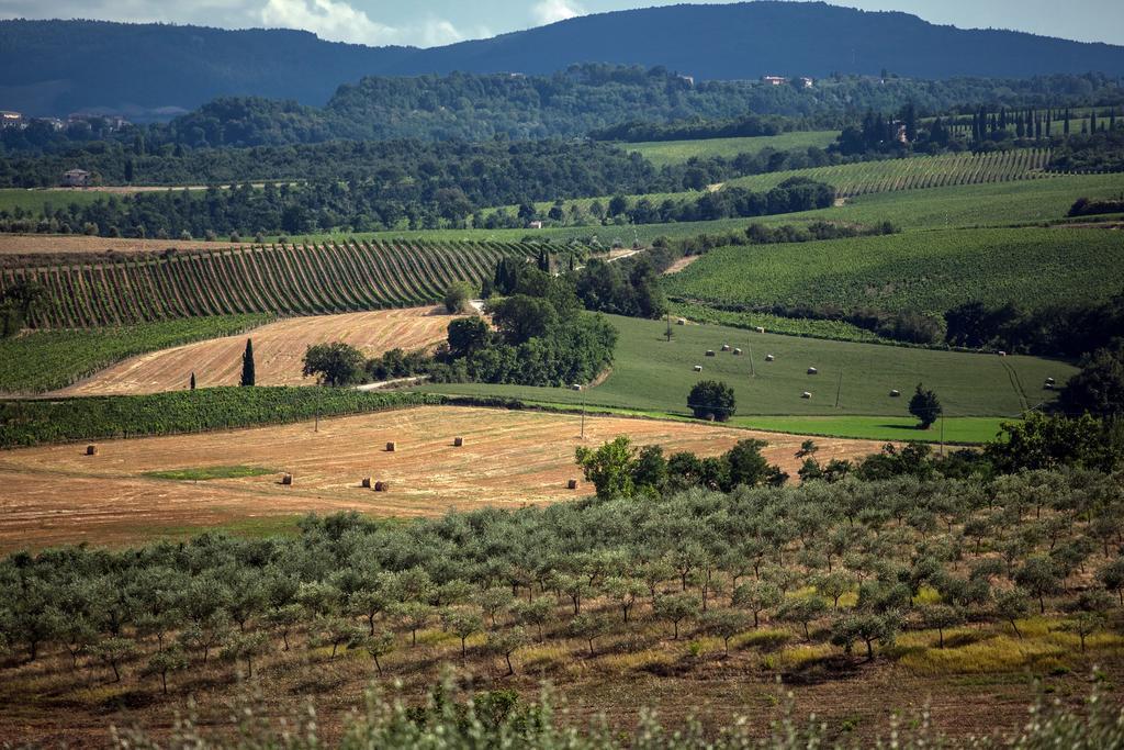 Agriturismo Sanguineto Acquaviva  Εξωτερικό φωτογραφία